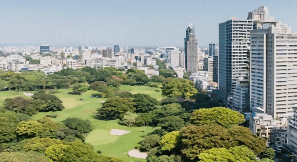 Evaluation of Urban Soils