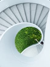 Timber vs Concrete: Sustainable Mid-Rise Construction
