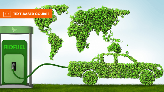Introduction to Biofuels