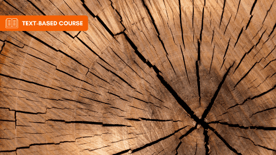 Permanent Wood Foundations