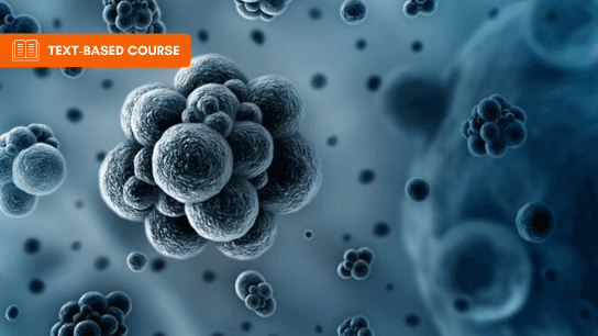 Control of VOC's with Carbon Absorption