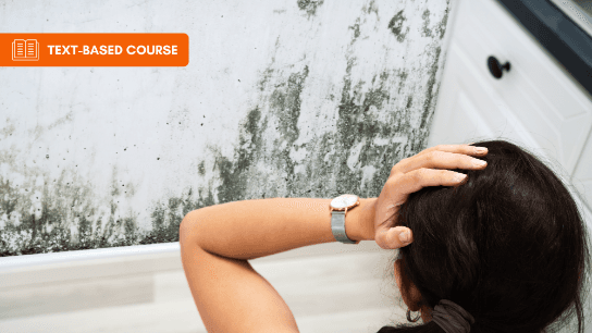 Mold in the Workplace