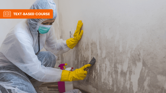 Mold Remediation of Commercial Buildings