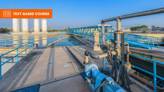 Public Water Disinfection using Peroxone