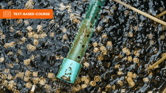 Biological Wastewater Treatment – MBBR Processes