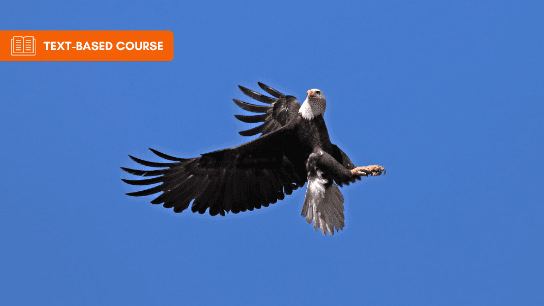 Avian Protection Guidelines