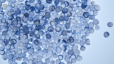 Chemomechanics of Soft Hydrated Materials