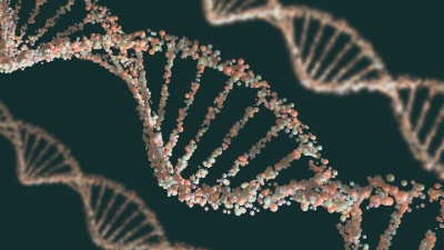 Synthetic Biology and Machine Learning for RNA Engineering