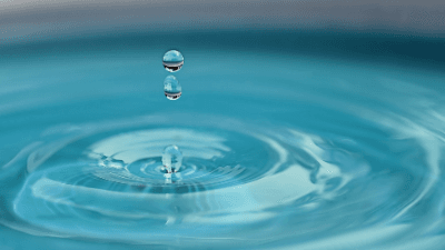The Catalytic Role of Water at Metal/Titania Interfaces