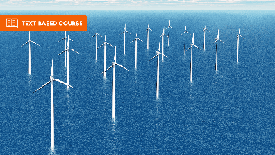 Offshore Wind Energy Strategies
